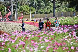 BIB: 
                            <button type="button" onclick="openModal(27807437)" class="btn btn-primary btn-sm float-right btn-popup" data-toggle="modal" data-target=".modal-high-quality">
                        <i class="fas fa-shopping-cart"></i> Add to Cart
                    </button>
                                            <button type="button" onclick="isThisMe(27807437, true)" class="btn btn-success btn-sm float-right btn-popup btn-isme hidden" data-toggle="tooltip" data-placement="bottom" title="นี่คือรูปของคุณใช่ไหม คลิกที่นี่เพื่อเอาเข้าอัลบั้ม">
                        <i class="fas fa-plus"></i> Add to album
                    </button>
                    <button type="button" onclick="isThisMe(27807437, false)" class="btn btn-warning btn-sm float-right btn-popup btn-isnotme hidden">
                        <i class="fas fa-ban"></i> Remove from album
                    </button>